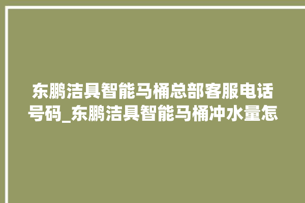 东鹏洁具智能马桶总部客服电话号码_东鹏洁具智能马桶冲水量怎么调节 。马桶