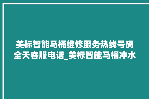 美标智能马桶维修服务热线号码全天客服电话_美标智能马桶冲水不停 。马桶