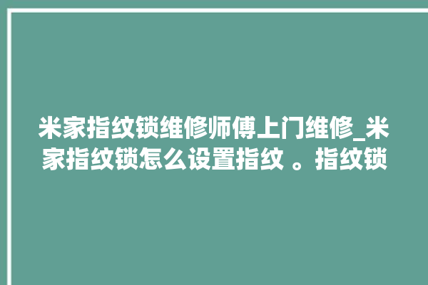 米家指纹锁维修师傅上门维修_米家指纹锁怎么设置指纹 。指纹锁