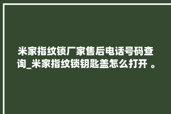 米家指纹锁厂家售后电话号码查询_米家指纹锁钥匙盖怎么打开 。指纹锁