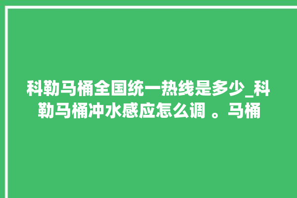 科勒马桶全国统一热线是多少_科勒马桶冲水感应怎么调 。马桶