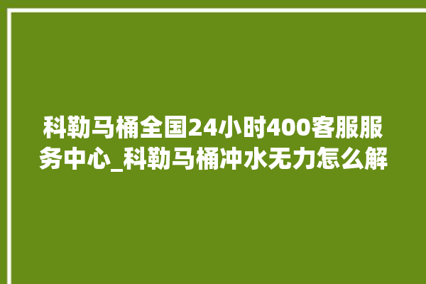 科勒马桶全国24小时400客服服务中心_科勒马桶冲水无力怎么解决 。马桶