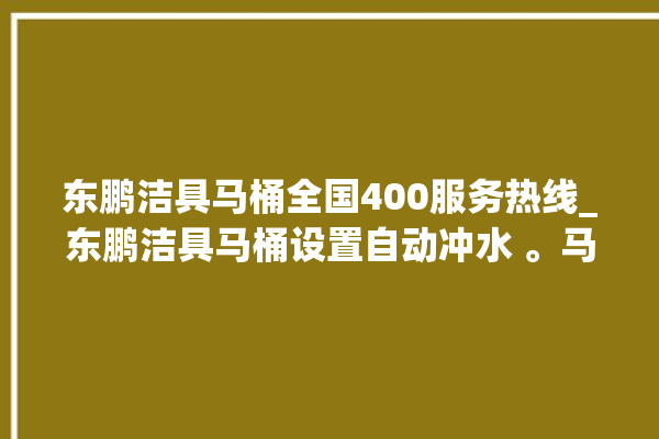 东鹏洁具马桶全国400服务热线_东鹏洁具马桶设置自动冲水 。马桶