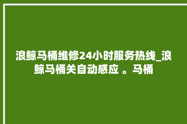 浪鲸马桶维修24小时服务热线_浪鲸马桶关自动感应 。马桶