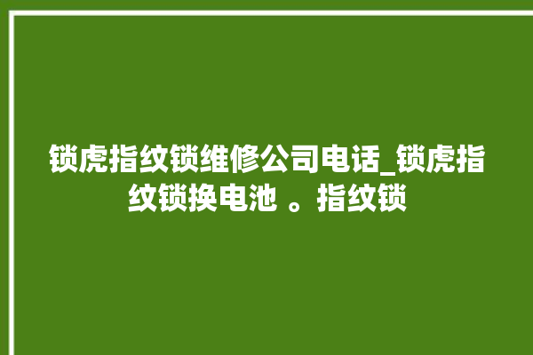 锁虎指纹锁维修公司电话_锁虎指纹锁换电池 。指纹锁