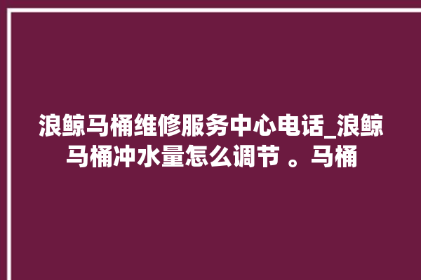 浪鲸马桶维修服务中心电话_浪鲸马桶冲水量怎么调节 。马桶