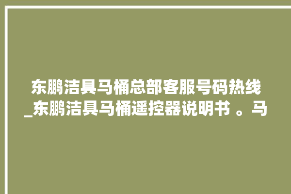 东鹏洁具马桶总部客服号码热线_东鹏洁具马桶遥控器说明书 。马桶