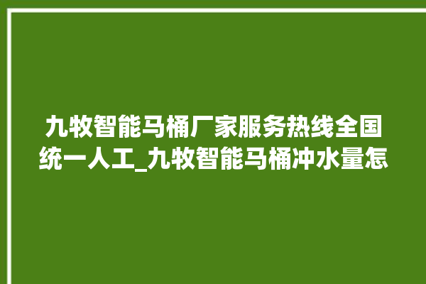 九牧智能马桶厂家服务热线全国统一人工_九牧智能马桶冲水量怎么调节 。马桶