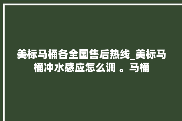 美标马桶各全国售后热线_美标马桶冲水感应怎么调 。马桶