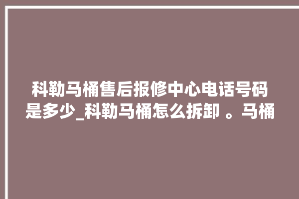 科勒马桶售后报修中心电话号码是多少_科勒马桶怎么拆卸 。马桶