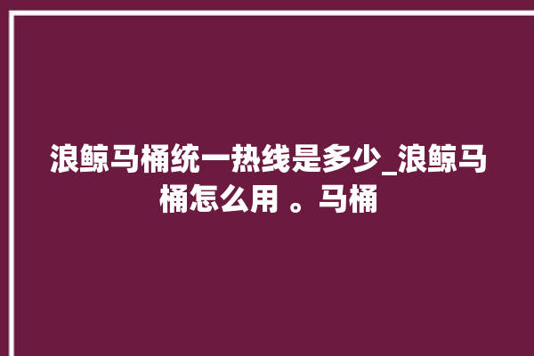 浪鲸马桶统一热线是多少_浪鲸马桶怎么用 。马桶