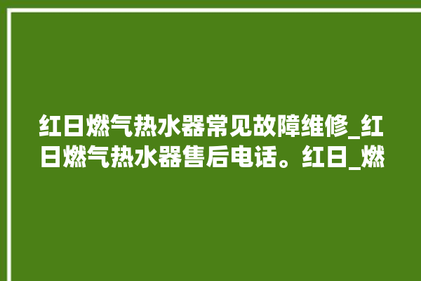 红日燃气热水器常见故障维修_红日燃气热水器售后电话。红日_燃气热水器