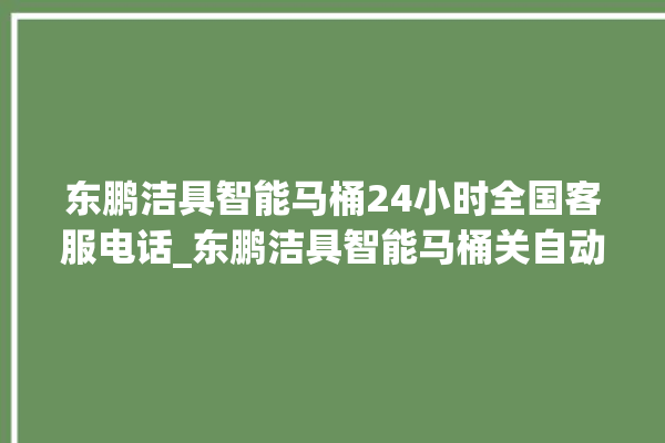 东鹏洁具智能马桶24小时全国客服电话_东鹏洁具智能马桶关自动感应 。马桶