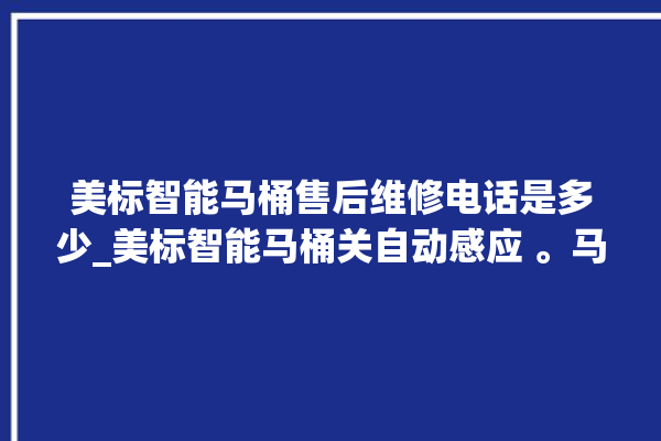 美标智能马桶售后维修电话是多少_美标智能马桶关自动感应 。马桶