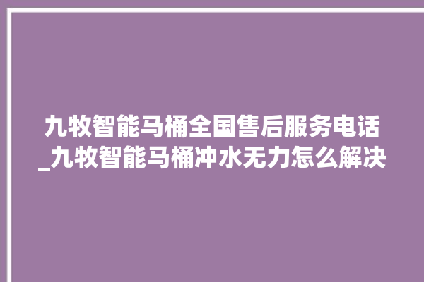 九牧智能马桶全国售后服务电话_九牧智能马桶冲水无力怎么解决 。马桶