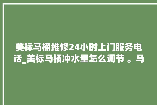 美标马桶维修24小时上门服务电话_美标马桶冲水量怎么调节 。马桶