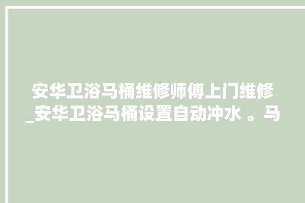 安华卫浴马桶维修师傅上门维修_安华卫浴马桶设置自动冲水 。马桶