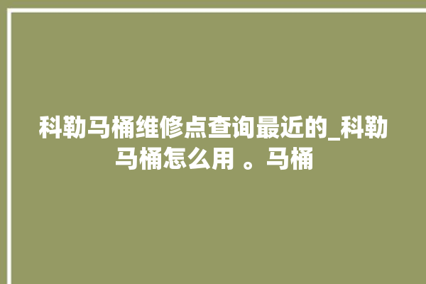 科勒马桶维修点查询最近的_科勒马桶怎么用 。马桶