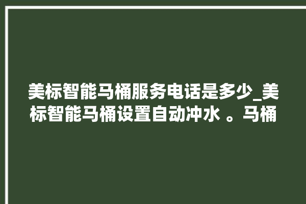 美标智能马桶服务电话是多少_美标智能马桶设置自动冲水 。马桶