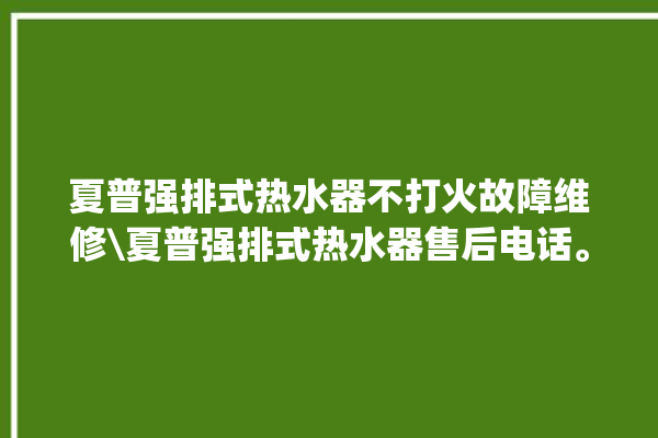 夏普强排式热水器不打火故障维修\夏普强排式热水器售后电话。热水器_故障