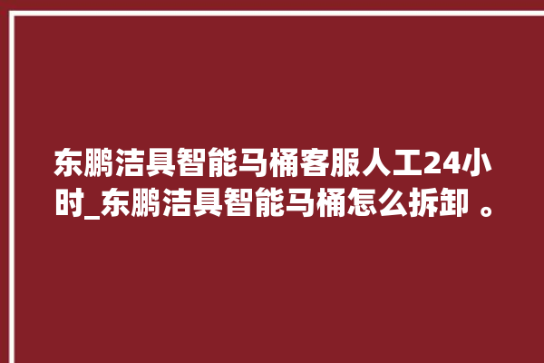 东鹏洁具智能马桶客服人工24小时_东鹏洁具智能马桶怎么拆卸 。马桶