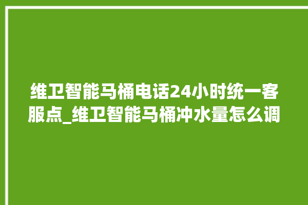 维卫智能马桶电话24小时统一客服点_维卫智能马桶冲水量怎么调节 。马桶