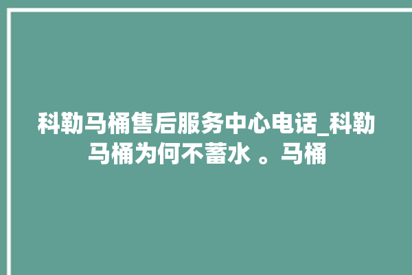 科勒马桶售后服务中心电话_科勒马桶为何不蓄水 。马桶