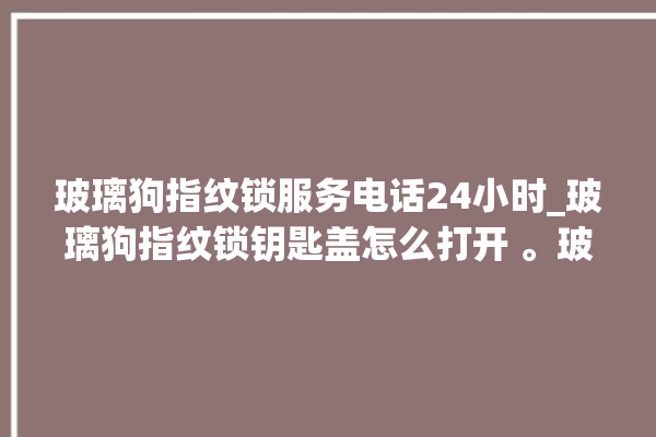 玻璃狗指纹锁服务电话24小时_玻璃狗指纹锁钥匙盖怎么打开 。玻璃