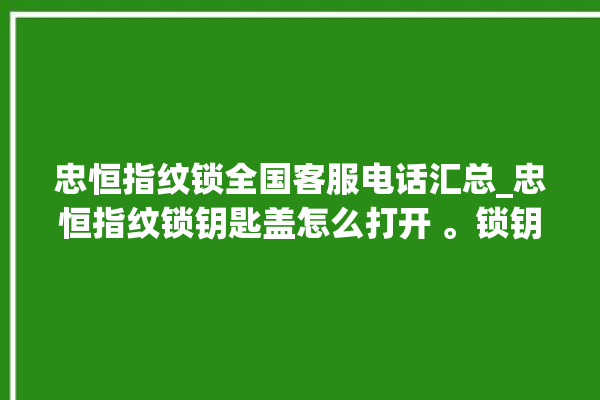 忠恒指纹锁全国客服电话汇总_忠恒指纹锁钥匙盖怎么打开 。锁钥