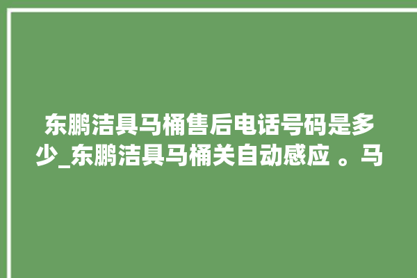 东鹏洁具马桶售后电话号码是多少_东鹏洁具马桶关自动感应 。马桶