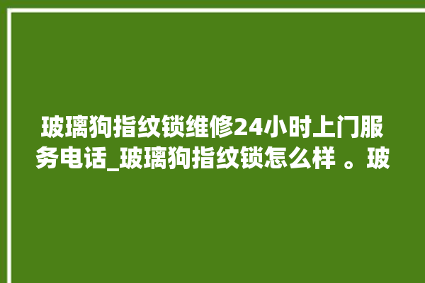 玻璃狗指纹锁维修24小时上门服务电话_玻璃狗指纹锁怎么样 。玻璃