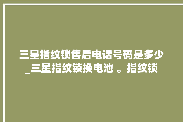 三星指纹锁售后电话号码是多少_三星指纹锁换电池 。指纹锁