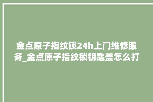 金点原子指纹锁24h上门维修服务_金点原子指纹锁钥匙盖怎么打开 。原子