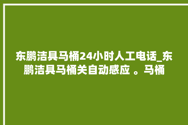 东鹏洁具马桶24小时人工电话_东鹏洁具马桶关自动感应 。马桶