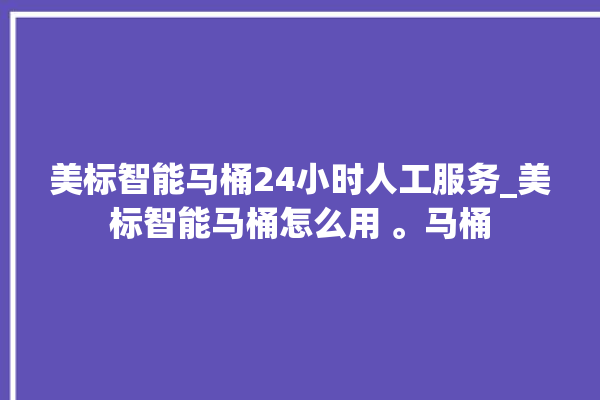 美标智能马桶24小时人工服务_美标智能马桶怎么用 。马桶