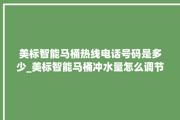 美标智能马桶热线电话号码是多少_美标智能马桶冲水量怎么调节 。马桶