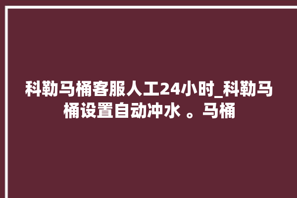 科勒马桶客服人工24小时_科勒马桶设置自动冲水 。马桶