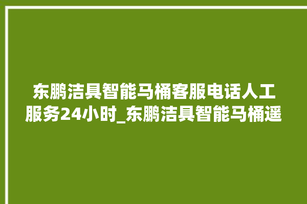 东鹏洁具智能马桶客服电话人工服务24小时_东鹏洁具智能马桶遥控器说明书 。马桶