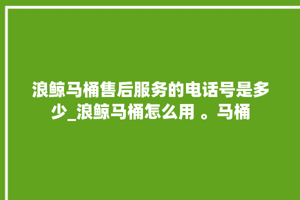 浪鲸马桶售后服务的电话号是多少_浪鲸马桶怎么用 。马桶