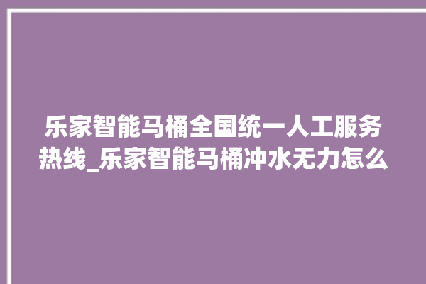 乐家智能马桶全国统一人工服务热线_乐家智能马桶冲水无力怎么解决 。马桶