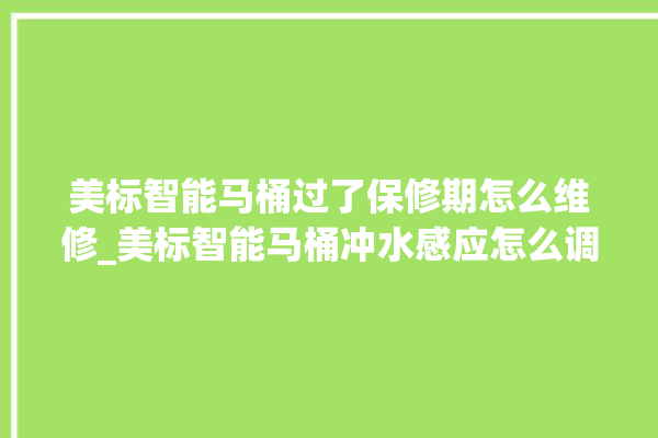 美标智能马桶过了保修期怎么维修_美标智能马桶冲水感应怎么调 。马桶