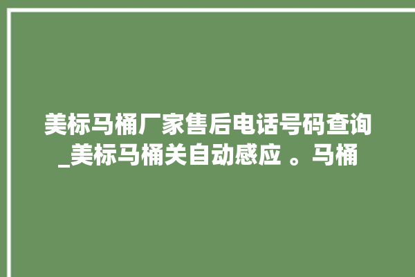 美标马桶厂家售后电话号码查询_美标马桶关自动感应 。马桶