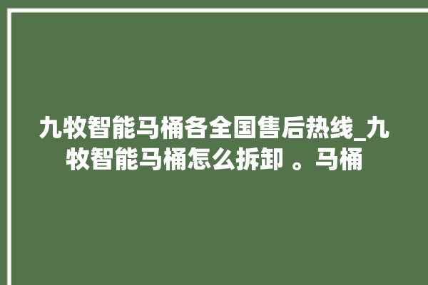 九牧智能马桶各全国售后热线_九牧智能马桶怎么拆卸 。马桶