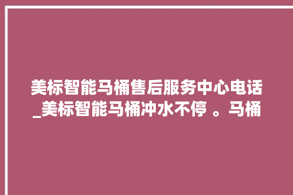 美标智能马桶售后服务中心电话_美标智能马桶冲水不停 。马桶