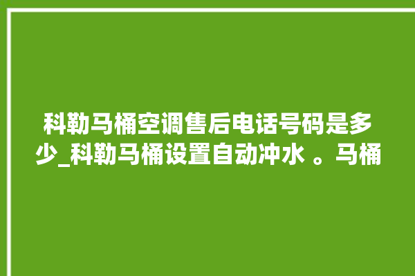 科勒马桶空调售后电话号码是多少_科勒马桶设置自动冲水 。马桶