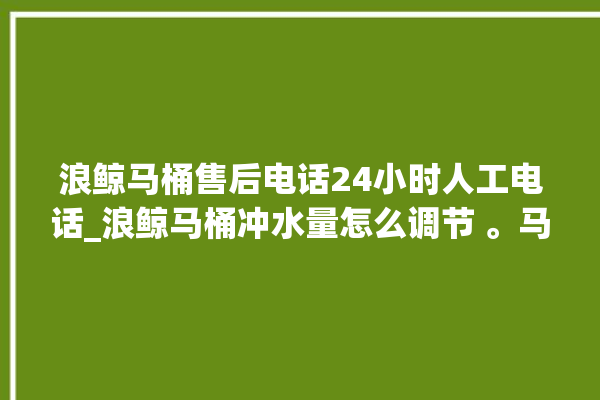 浪鲸马桶售后电话24小时人工电话_浪鲸马桶冲水量怎么调节 。马桶