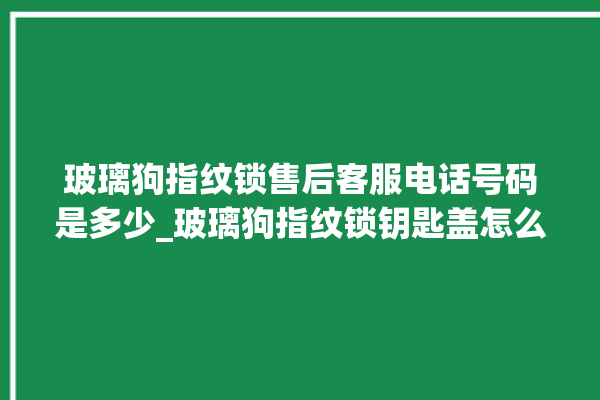 玻璃狗指纹锁售后客服电话号码是多少_玻璃狗指纹锁钥匙盖怎么打开 。玻璃