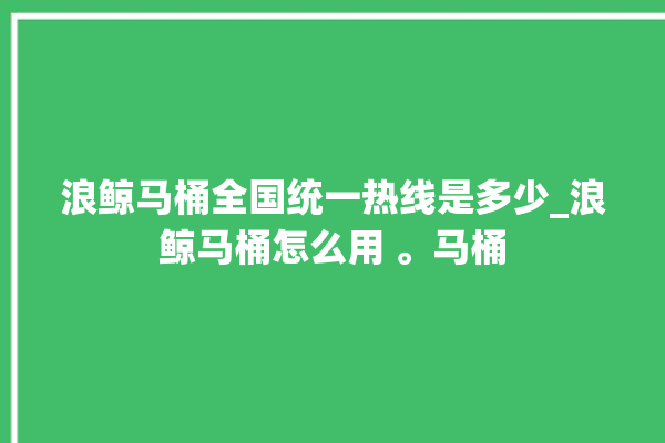 浪鲸马桶全国统一热线是多少_浪鲸马桶怎么用 。马桶