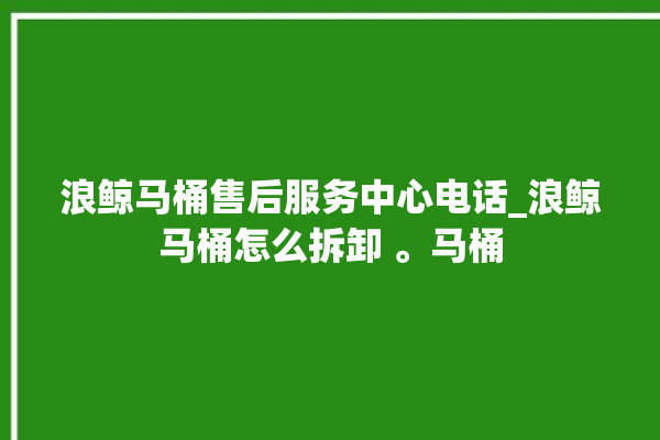 浪鲸马桶售后服务中心电话_浪鲸马桶怎么拆卸 。马桶