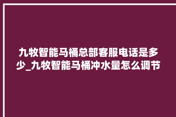 九牧智能马桶总部客服电话是多少_九牧智能马桶冲水量怎么调节 。马桶